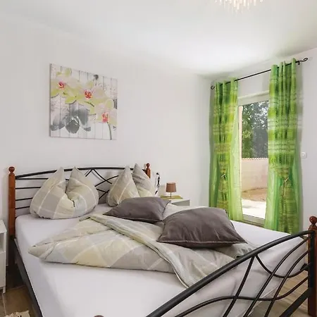 Dijana Holiday home Viskovici